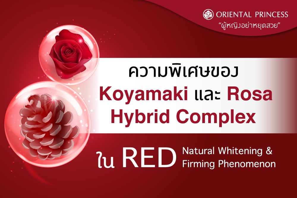 ความพิเศษของ Koyamaki และ Rosa Hybrid Complex   ใน RED Natural Whitening & Firming Phenomenon   ผิวกระจ่างใส ตึงกระชับภายใน  1 สัปดาห์ 